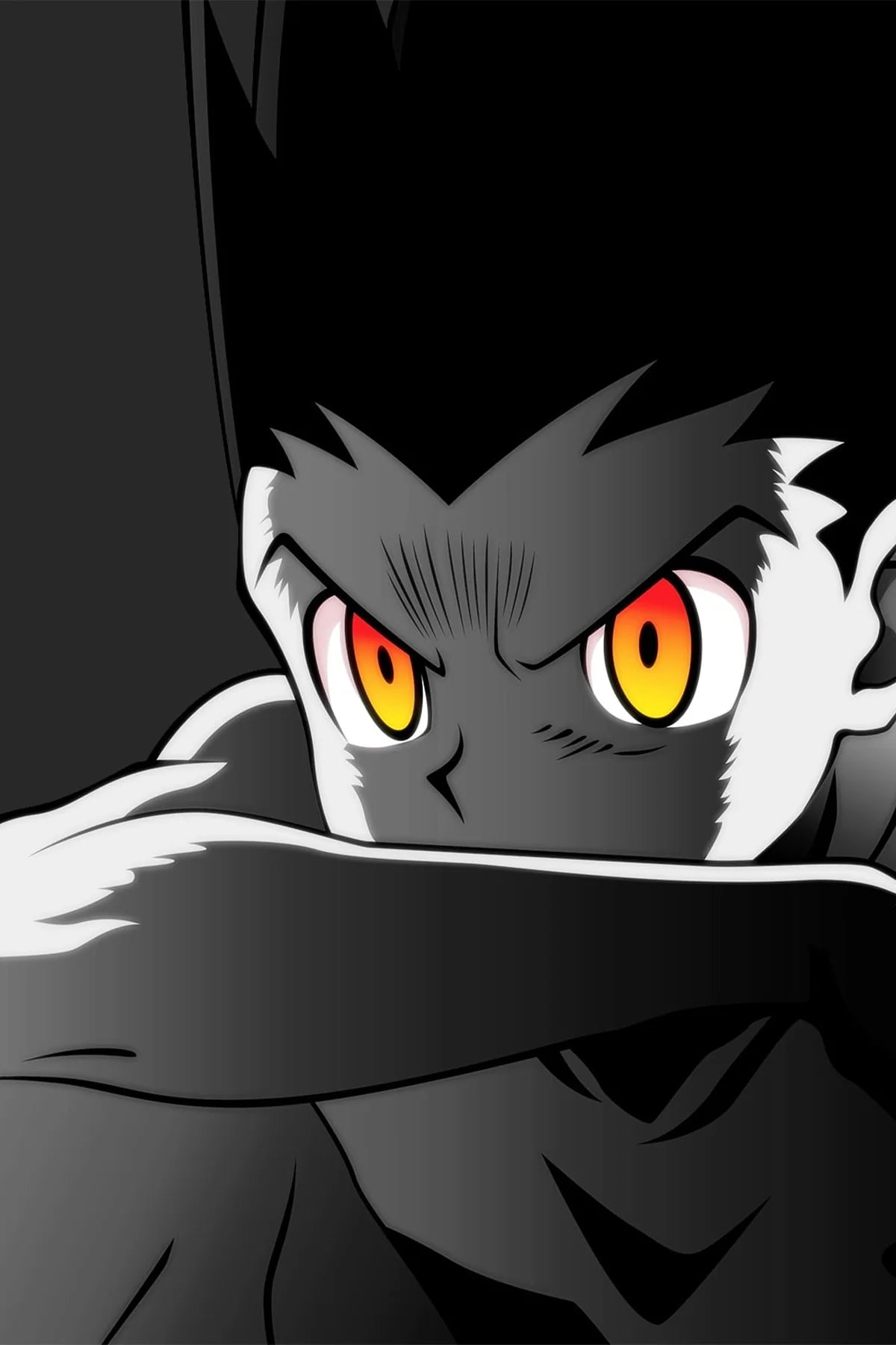 HUNTER X HUNTER